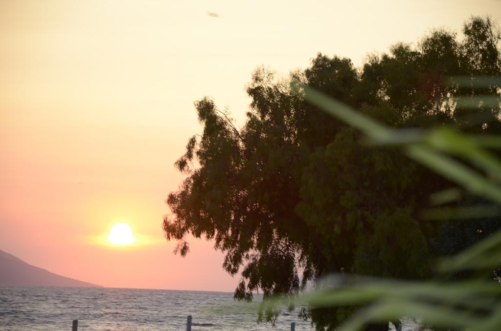 Hotel Garden Vlorë Buitenkant foto